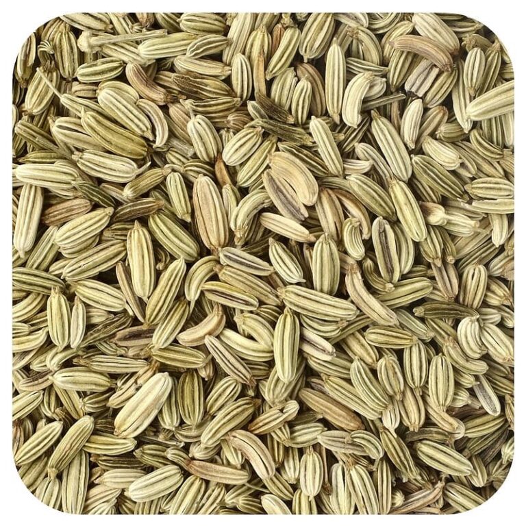 Fennel Seeds