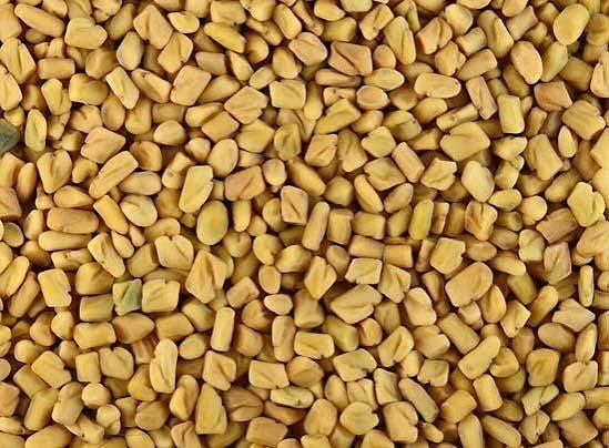 Fenugreek Seeds