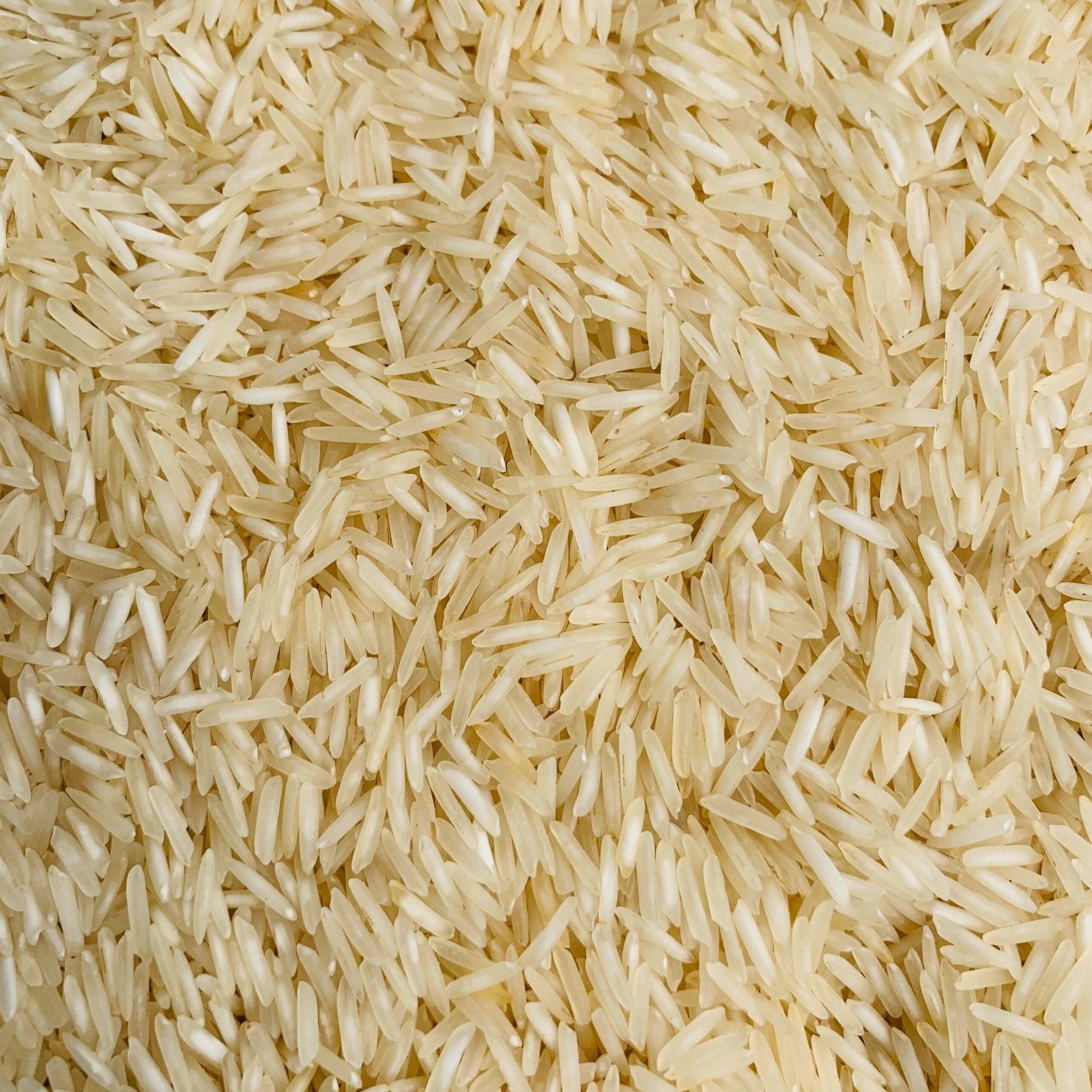 Rice